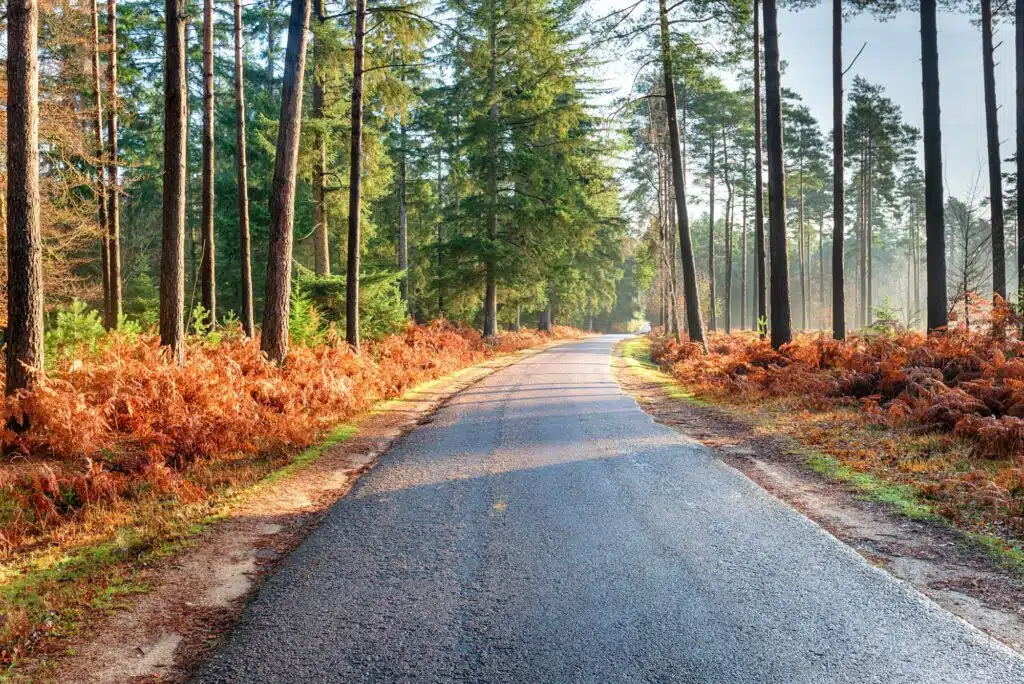 Lyndhurst Cabs providing reliable transportation services in the New Forest.